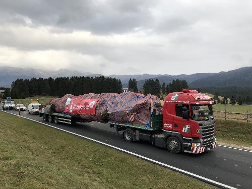 La partenza dell'abete a bordo del Tir che dal Cansiglio viaggerà verso il Vaticano 